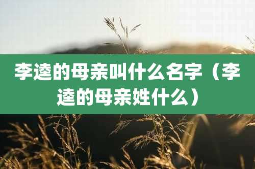 李逵的母亲叫什么名字（李逵的母亲姓什么）