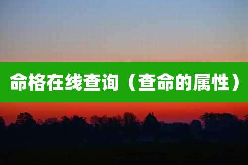 命格在线查询（查命的属性）