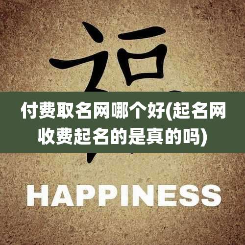 付费取名网哪个好(起名网收费起名的是真的吗)