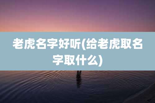 老虎名字好听(给老虎取名字取什么)