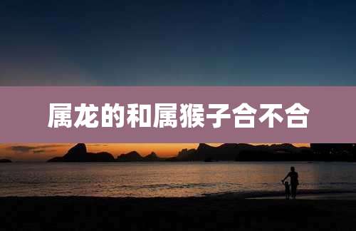 属龙的和属猴子合不合