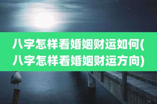 八字怎样看婚姻财运如何(八字怎样看婚姻财运方向)