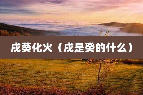 戌葵化火（戌是癸的什么）