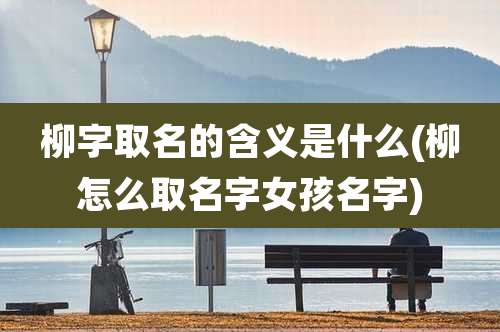 柳字取名的含义是什么(柳怎么取名字女孩名字)