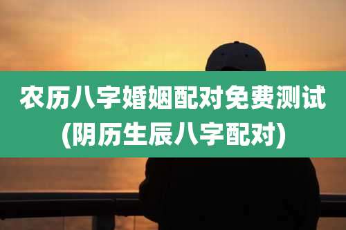 农历八字婚姻配对免费测试(阴历生辰八字配对)