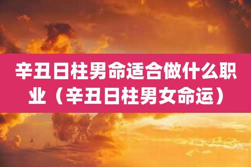 辛丑日柱男命适合做什么职业（辛丑日柱男女命运）