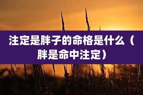 注定是胖子的命格是什么（胖是命中注定）