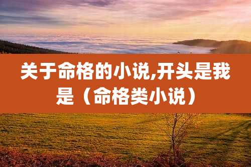 关于命格的小说,开头是我是（命格类小说）