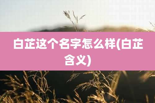 白芷这个名字怎么样(白芷含义)