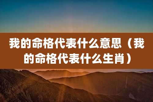 我的命格代表什么意思（我的命格代表什么生肖）