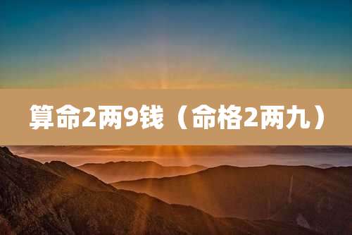 算命2两9钱（命格2两九）