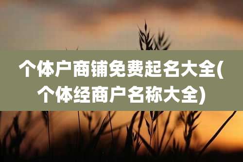 个体户商铺免费起名大全(个体经商户名称大全)