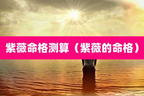 紫薇命格测算（紫薇的命格）