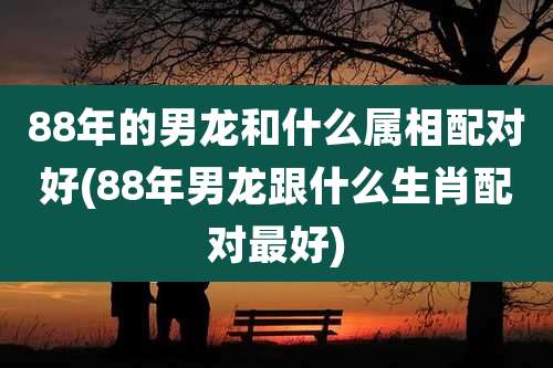 88年的男龙和什么属相配对好(88年男龙跟什么生肖配对最好)