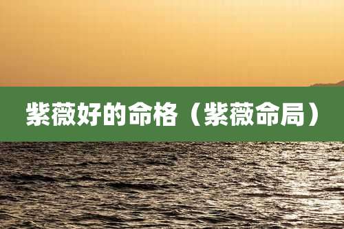 紫薇好的命格（紫薇命局）