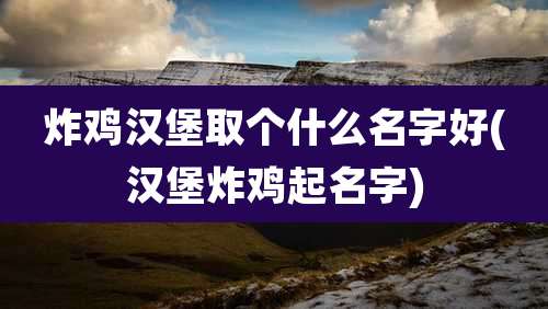 炸鸡汉堡取个什么名字好(汉堡炸鸡起名字)