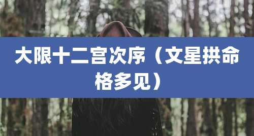 大限十二宫次序（文星拱命格多见）