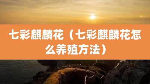 七彩麒麟花（七彩麒麟花怎么养殖方法）