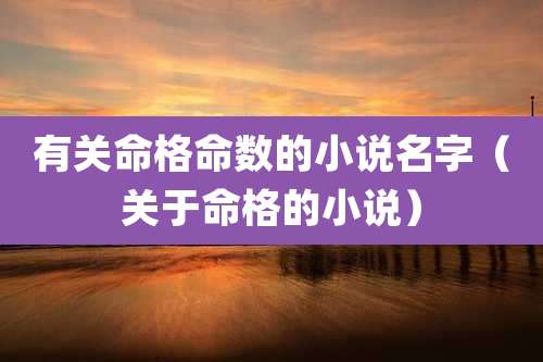 有关命格命数的小说名字（关于命格的小说）