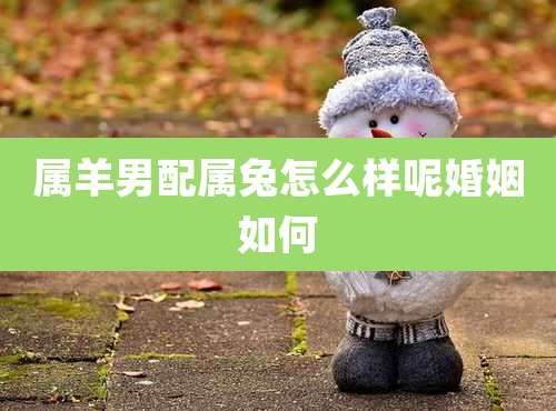 属羊男配属兔怎么样呢婚姻如何