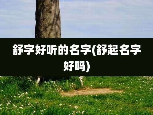 舒字好听的名字(舒起名字好吗)