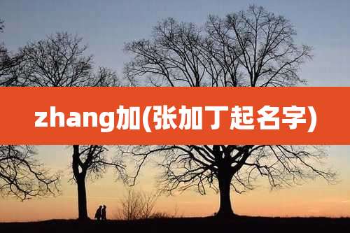 zhang加(张加丁起名字)