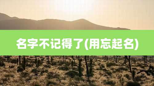 名字不记得了(用忘起名)