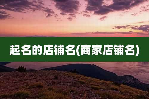 起名的店铺名(商家店铺名)