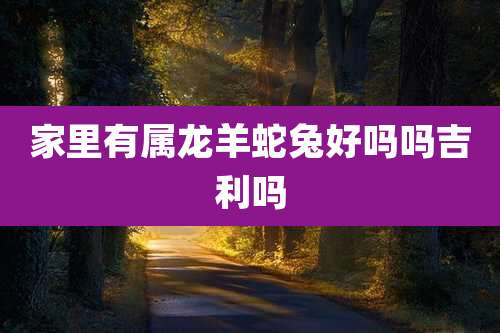 家里有属龙羊蛇兔好吗吗吉利吗