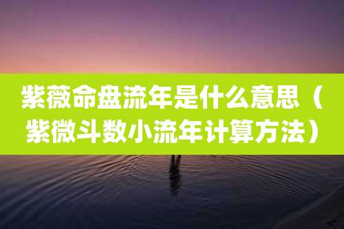 紫薇命盘流年是什么意思（紫微斗数小流年计算方法）