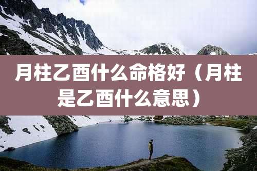 月柱乙酉什么命格好（月柱是乙酉什么意思）