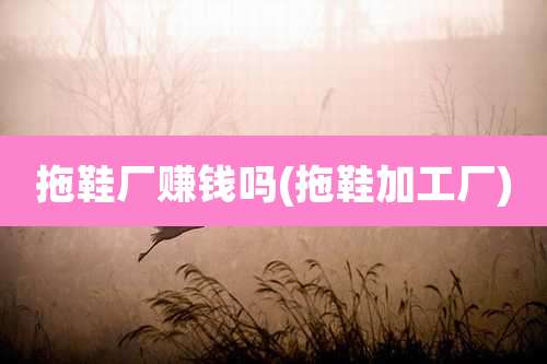 拖鞋厂赚钱吗(拖鞋加工厂)