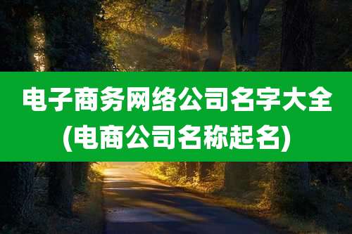 电子商务网络公司名字大全(电商公司名称起名)