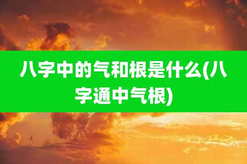 八字中的气和根是什么(八字通中气根)