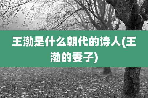 王渤是什么朝代的诗人(王渤的妻子)