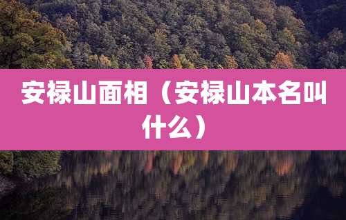 安禄山面相（安禄山本名叫什么）