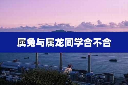 属兔与属龙同学合不合