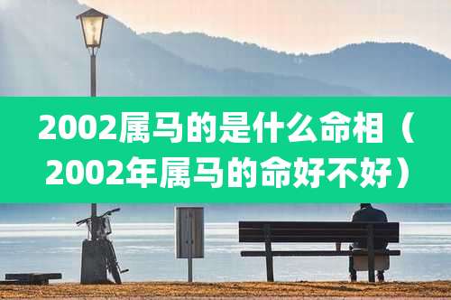 2002属马的是什么命相（2002年属马的命好不好）