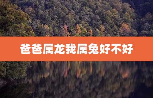 爸爸属龙我属兔好不好