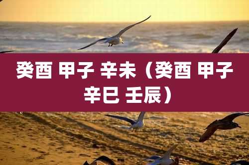 癸酉 甲子 辛未（癸酉 甲子 辛巳 壬辰）