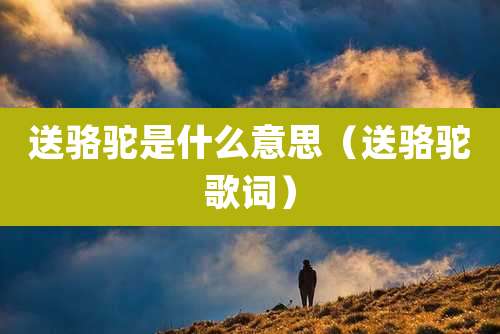 送骆驼是什么意思（送骆驼歌词）