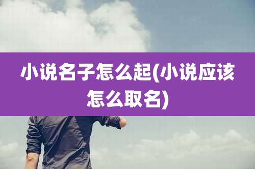 小说名子怎么起(小说应该怎么取名)