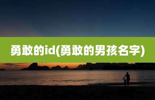 勇敢的id(勇敢的男孩名字)