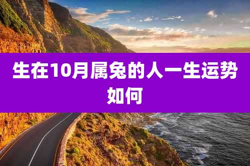 生在10月属兔的人一生运势如何