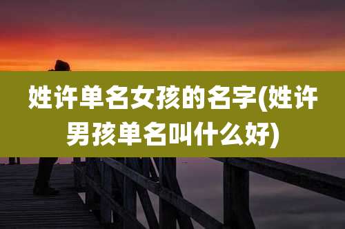 姓许单名女孩的名字(姓许男孩单名叫什么好)