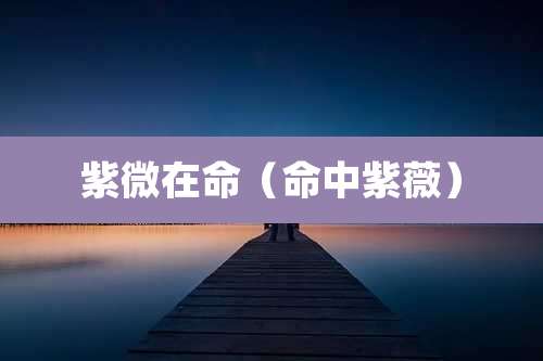 紫微在命(命中紫薇)