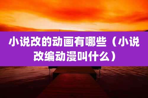 小说改的动画有哪些（小说改编动漫叫什么）