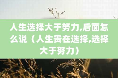 人生选择大于努力,后面怎么说（人生贵在选择,选择大于努力）