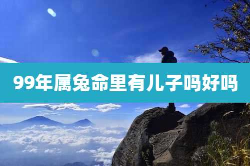 99年属兔命里有儿子吗好吗