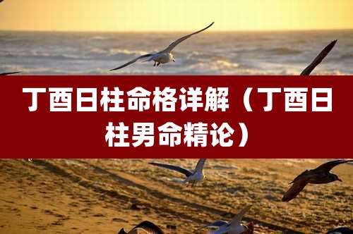 丁酉日柱命格详解（丁酉日柱男命精论）